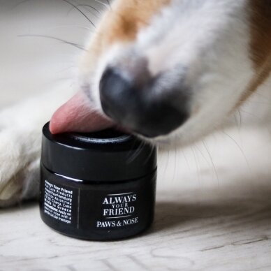 Always Your Friend Paws & Nose Balm